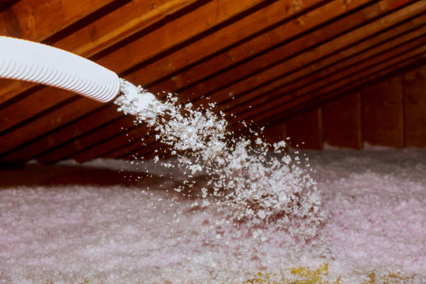 Best Professional Insulation Contractor  in Pinconning, MI