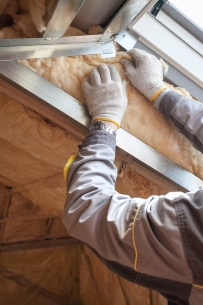 Best Fiberglass Insulation  in Pinconning, MI