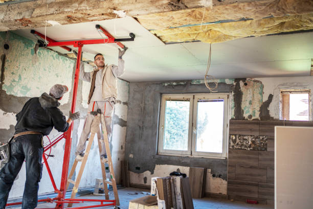 Best Wall Insulation Contractor  in Pinconning, MI