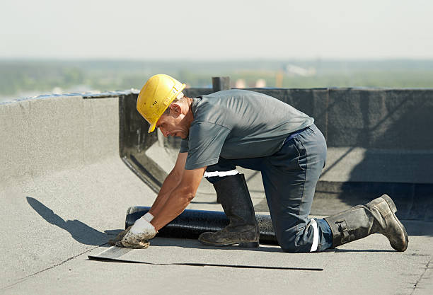 Best Insulation Repair Services  in Pinconning, MI