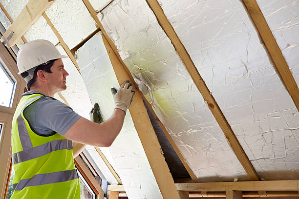 Best Home Insulation Services  in Pinconning, MI